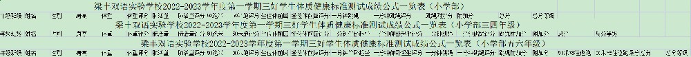 梁丰双语实验学校2022-2023学年度第一学期三好学生体质健康标准测试成绩公示一览表（小学&初中）