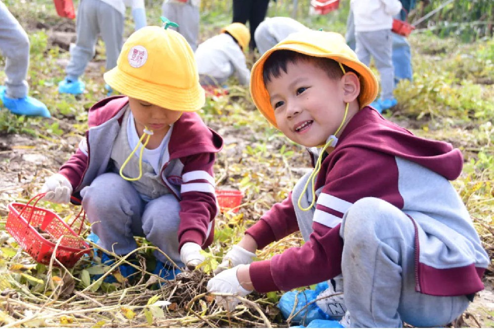 拾秋意·趣秋游 | 梁丰贝灵幼儿园秋日实践活动